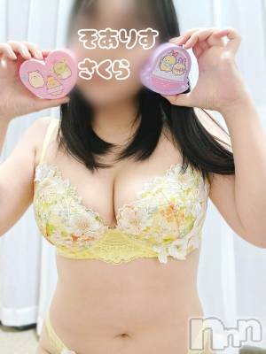 新潟デリヘル SOARIS-ソアリス-(ソアリス) さくら(29)の2月26日写メブログ「趣味 角煮作り」