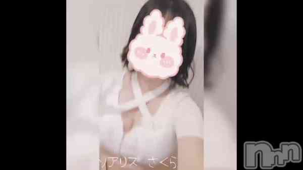 さくらの動画 動いてるさくら