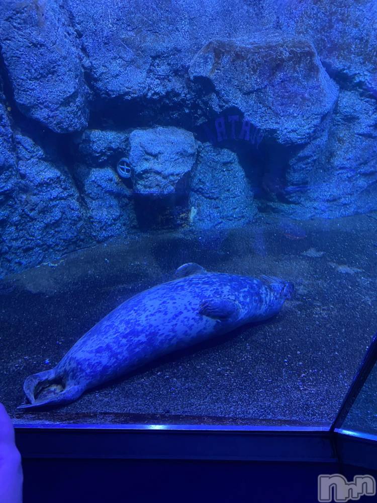 ƲХ顦clubTiara(ƥ) Ϥ95̥֥💙