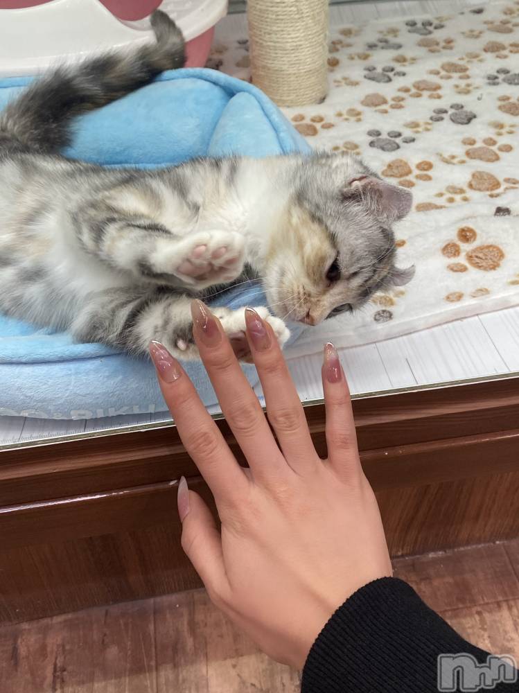 ƲХ顦clubTiara(ƥ) Ϥ31̥֥🐈