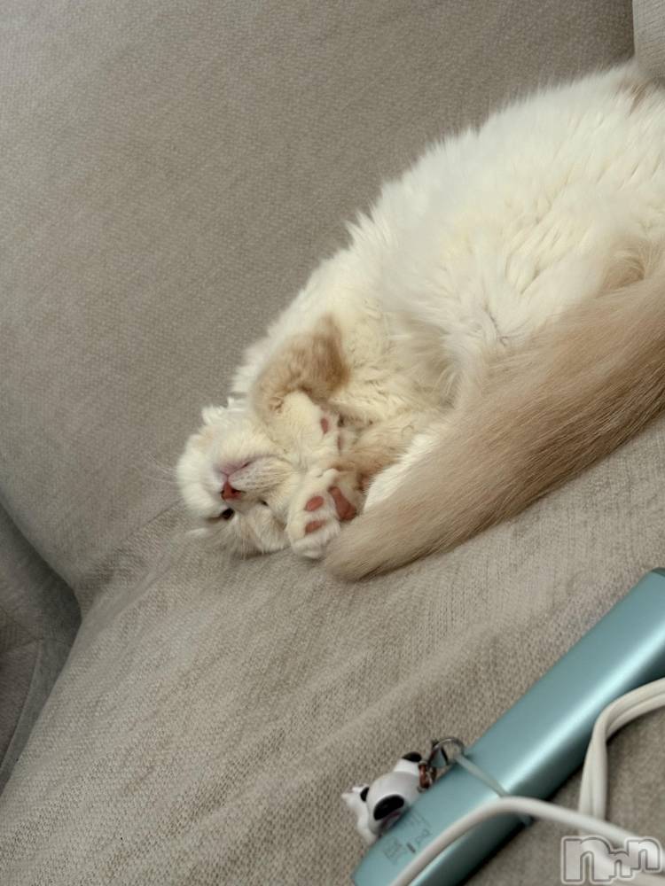 ��Ʋ����Х��顦�����clubTiara(�ƥ�����) ����Ϥ�2��8���̥�֥�����🐈��