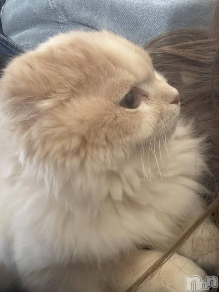 ��Ʋ����Х��顦�����clubTiara(�ƥ�����) ����Ϥ�2��12���̥�֥�����2��12�� 01��40ʬ�Υ֥�����