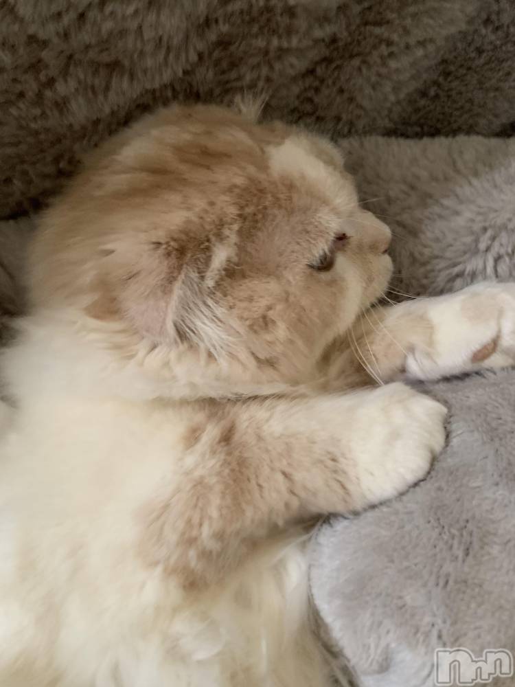 ��Ʋ����Х��顦�����clubTiara(�ƥ�����) ����Ϥ�3��16���̥�֥�����3��16�� 23��18ʬ�Υ֥�����