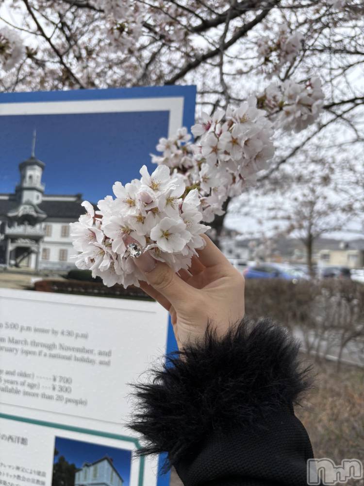 ��Ʋ����Х��顦�����clubTiara(�ƥ�����) ����Ϥ�4��6���̥�֥�����4��6�� 22��58ʬ�Υ֥�����