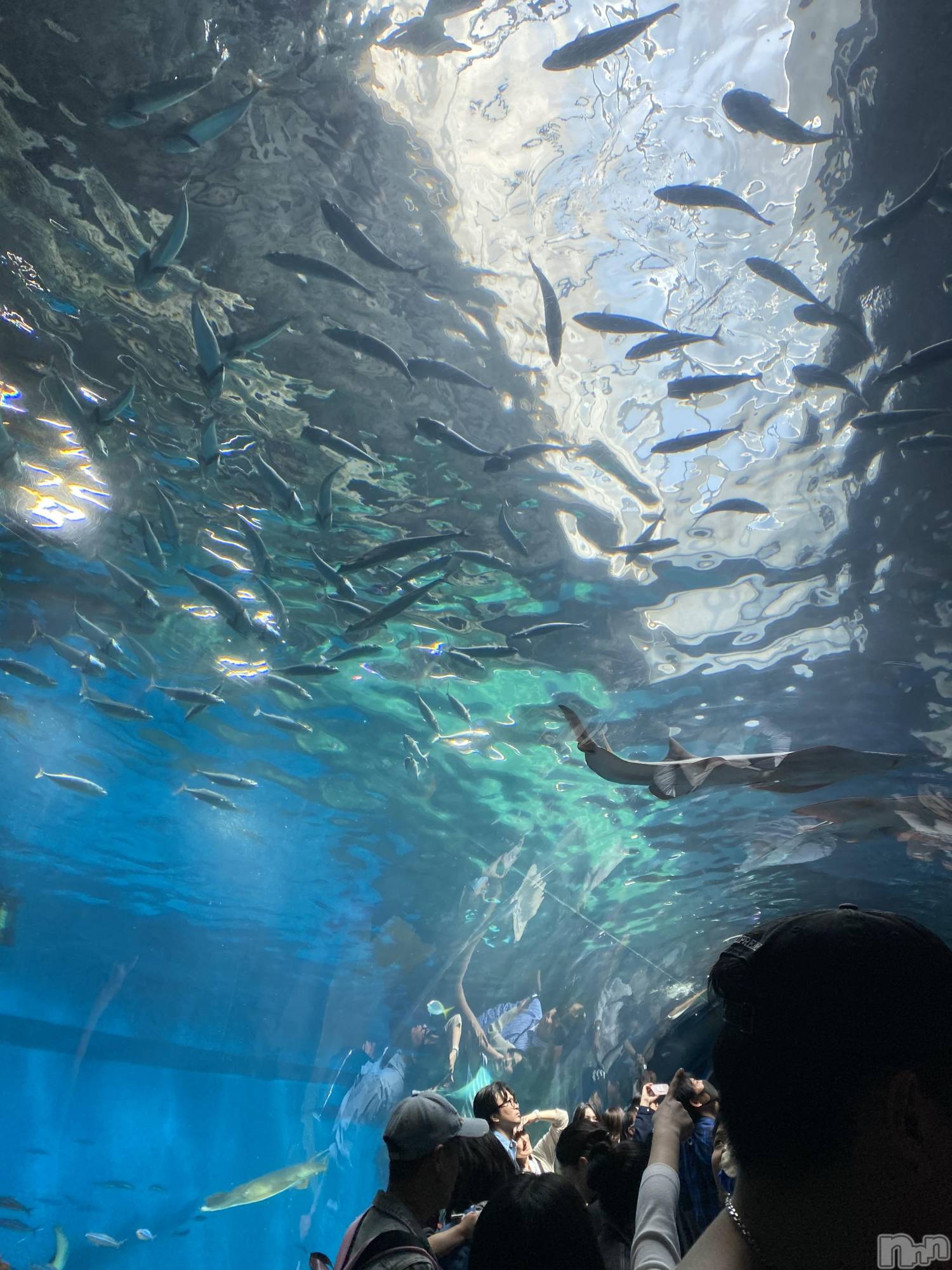 ƲХ顦clubTiara(ƥ) 2025ǯ510̥֥🐠
