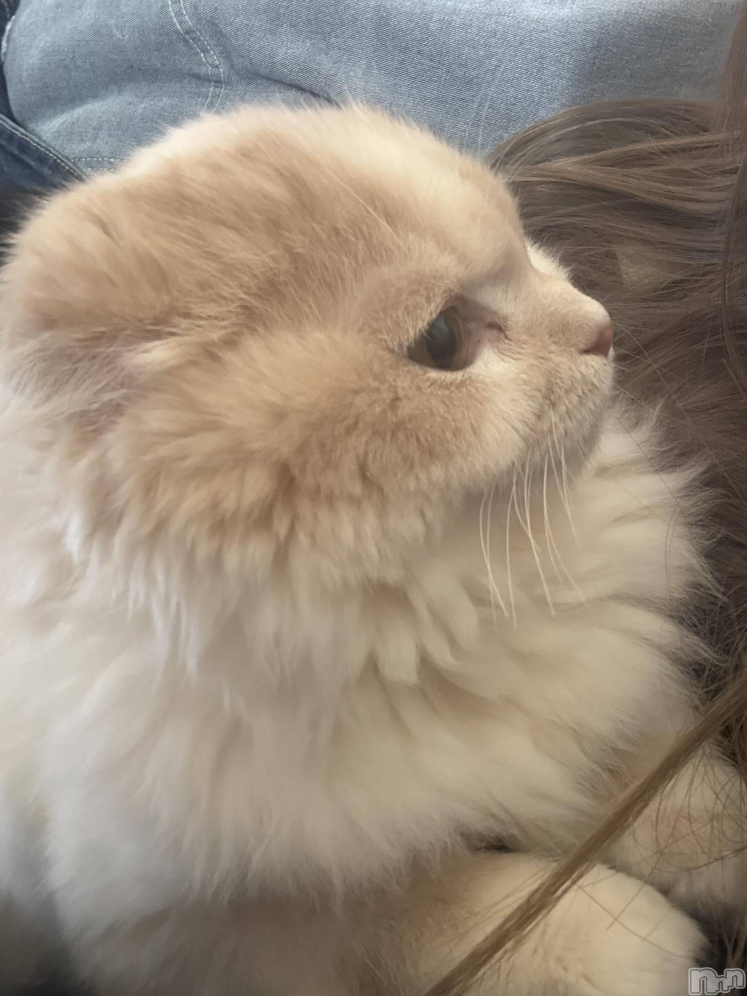 ��Ʋ����Х��顦�����clubTiara(�ƥ�����) ��2026ǯ2��12���̥�֥�����2��12�� 01��40ʬ�Υ֥�����