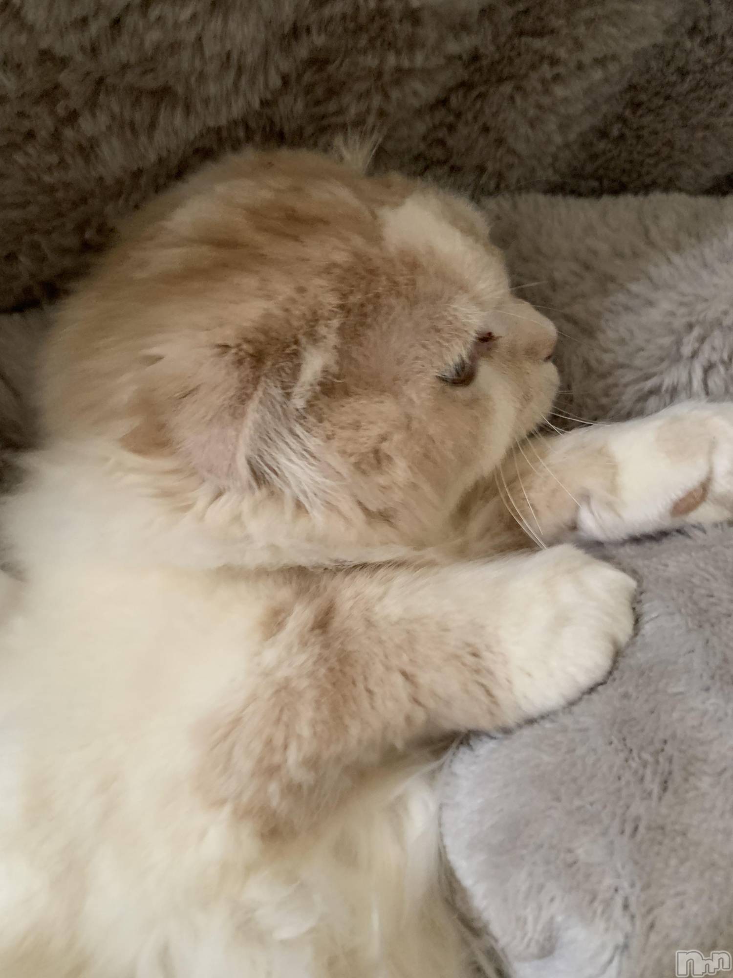 ��Ʋ����Х��顦�����clubTiara(�ƥ�����) ��2026ǯ3��16���̥�֥�����3��16�� 23��18ʬ�Υ֥�����