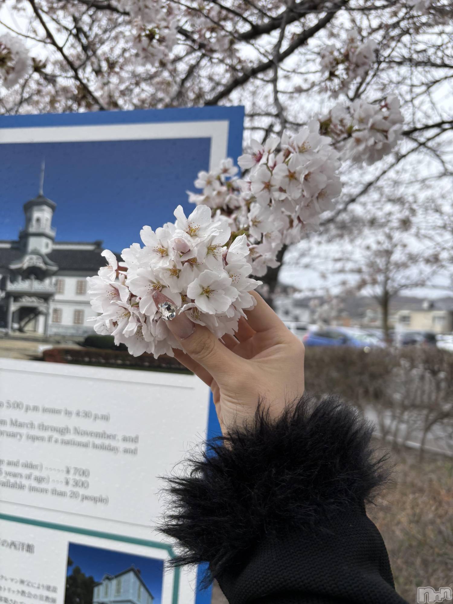 ��Ʋ����Х��顦�����clubTiara(�ƥ�����) ��2026ǯ4��6���̥�֥�����4��6�� 22��58ʬ�Υ֥�����