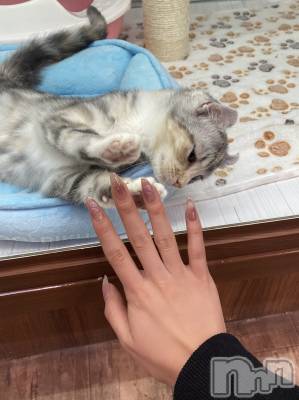 ƲХ顦clubTiara(ƥ) (22)31̥֥🐈