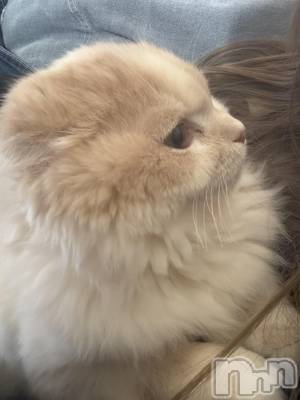 ��Ʋ����Х��顦�����clubTiara(�ƥ�����) �����(23)��2��12���̥�֥�����2��12�� 01��40ʬ�Υ֥�����