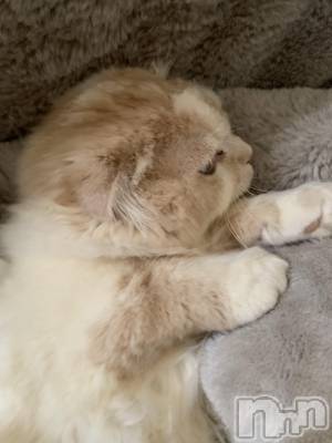 ��Ʋ����Х��顦�����clubTiara(�ƥ�����) �����(23)��3��16���̥�֥�����3��16�� 23��18ʬ�Υ֥�����