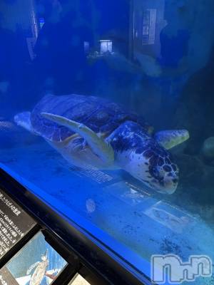 ��Ʋ����Х��顦�����clubTiara(�ƥ�����) �����(23)��3��21���̥�֥�����🐢��