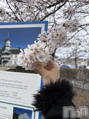 ��Ʋ����Х��顦�����clubTiara(�ƥ�����) �����(23)��4��6���̥�֥�����4��6�� 22��58ʬ�Υ֥�����