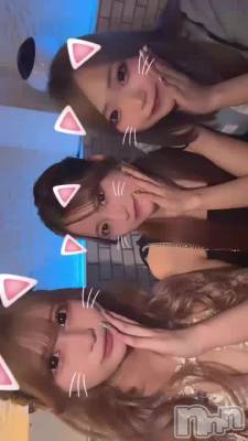 🐱