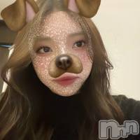 ʥ(20) Ĺ162cmĮХ顦 Lounge R Style(饦󥸥륹)ҡ