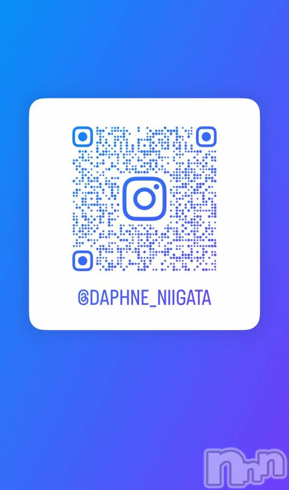 ĮХ顦Daphne(ե) Ҥʤ213̥֥֥󥹥Ǥߤ✨