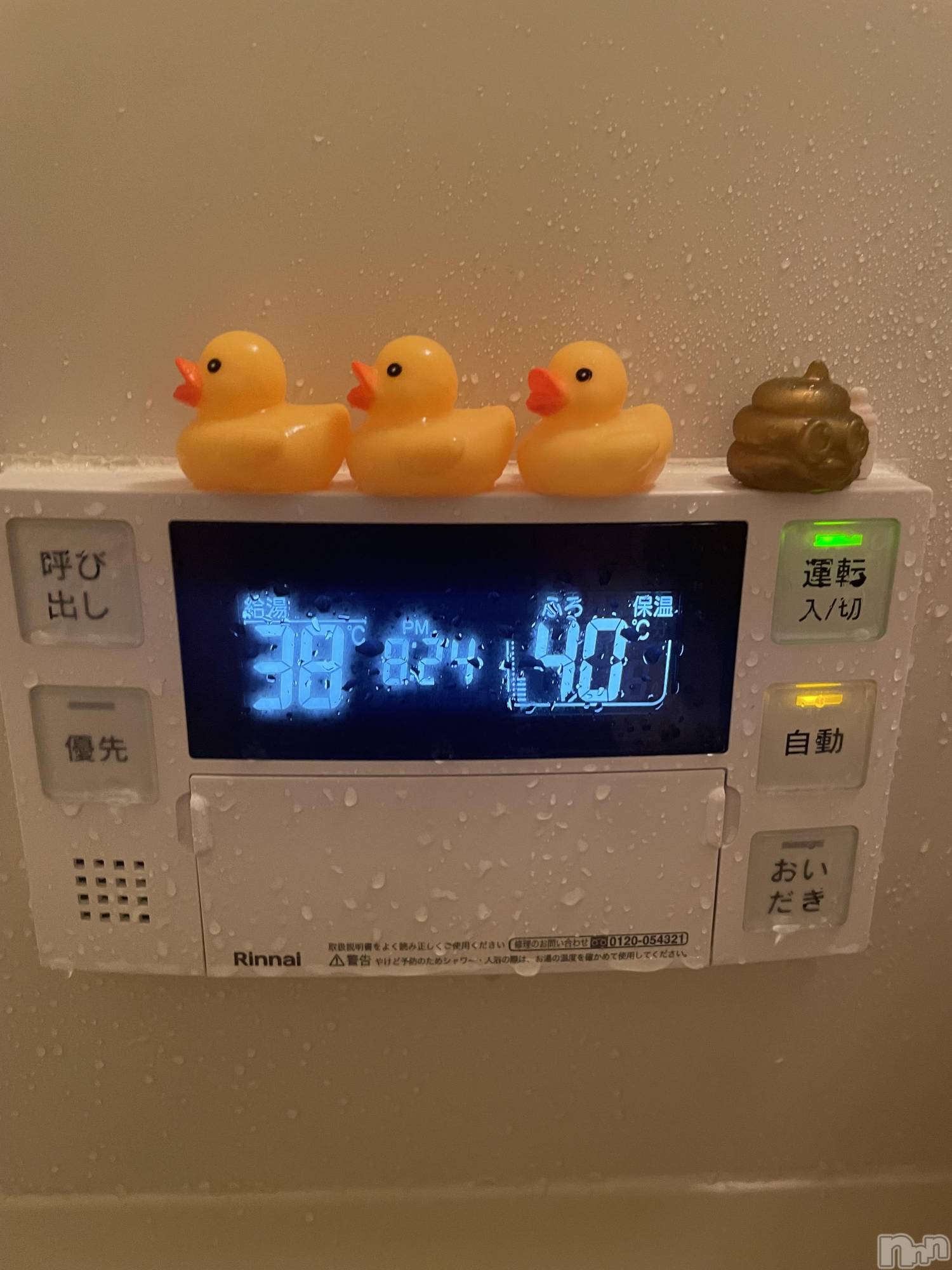 ĮХ顦Daphne(ե) 2025ǯ66̥֥🛁🫧