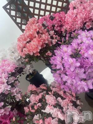ĮХ顦Daphne(ե) Ҥ(18)34̥֥֤פ֤Ǥ🌷