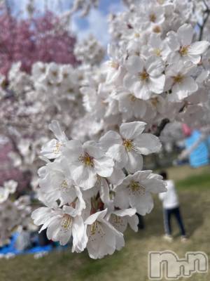ĮХ顦Daphne(ե) Ҥ(18)415ֲָ̥֥🌸