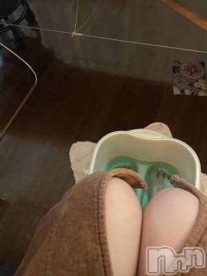 ĮХ顦Daphne(ե) Ҥ(18)610̥֥֥ޥå💓