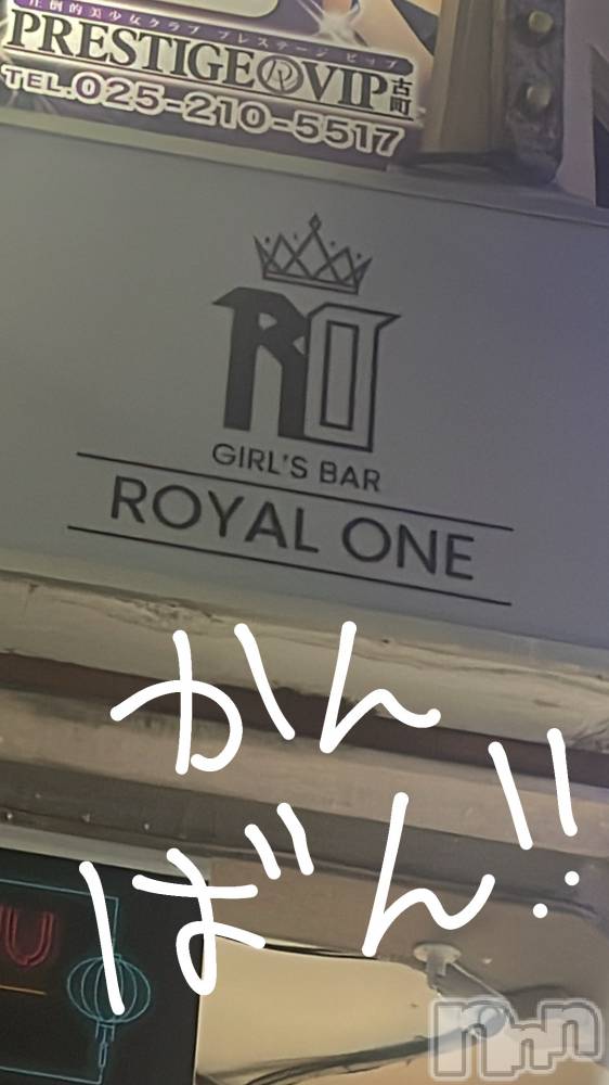 ʥå륺СROYAL ONE() Ȥͤ91̥֥֤Ф󡪡
