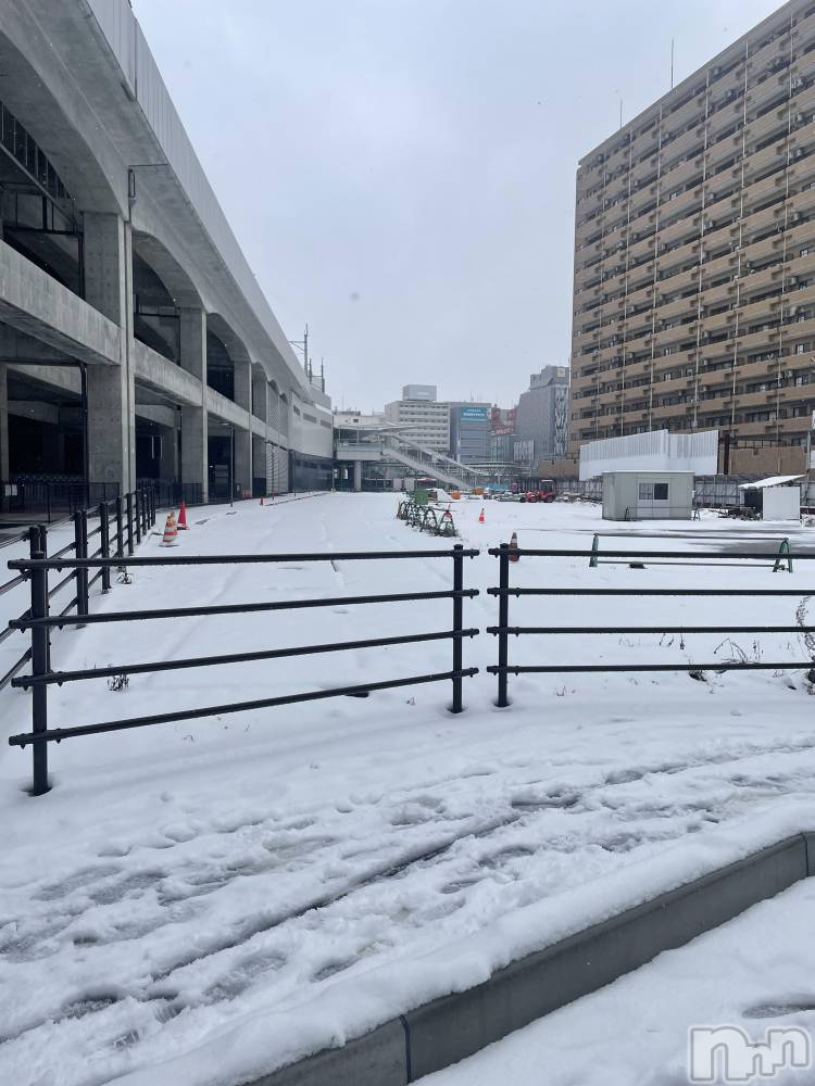 ����������ʥå��������륺�С�ROYAL ONE(���������) ���Ȥͤ�1��2���̥�֥������������