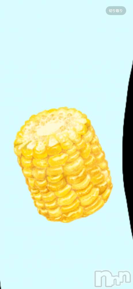 ����������ʥå��������륺�С�ROYAL ONE(���������) ���Ȥͤ�2��4���̥�֥����֤�����