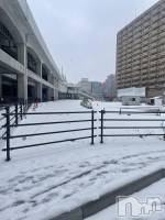 ����������ʥå��������륺�С�ROYAL ONE(���������) ���Ȥ�(21)��1��2���̥�֥������������