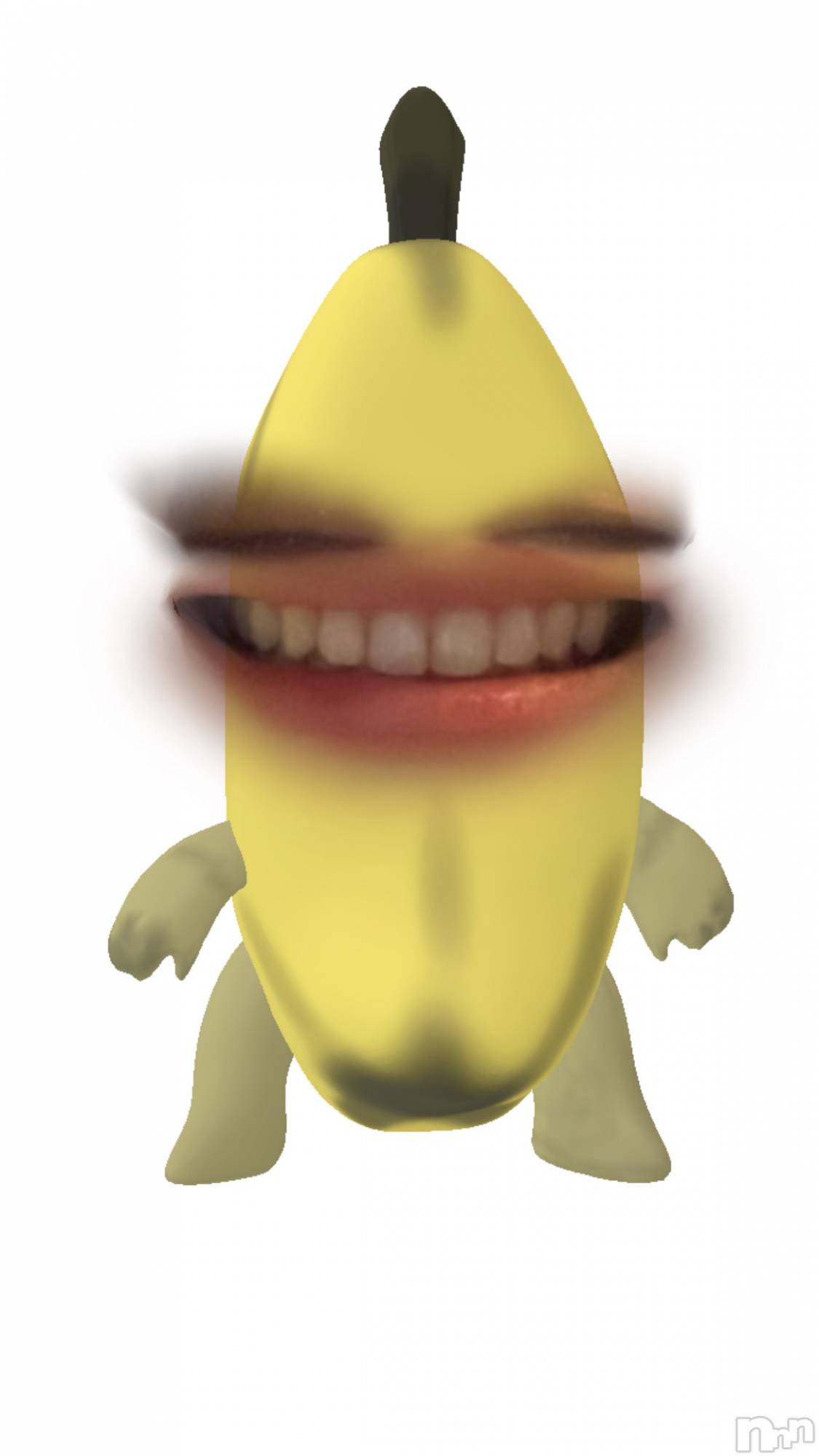 ʥå륺СROYAL ONE() 2025ǯ122̥֥֥ե륿