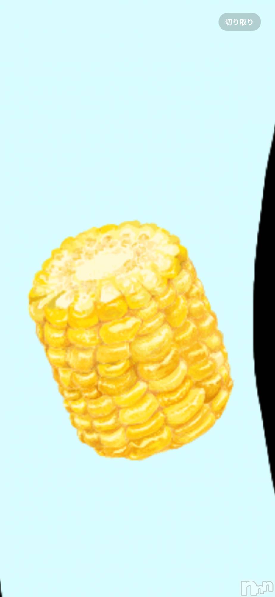 ����������ʥå��������륺�С�ROYAL ONE(���������) ��2026ǯ2��4���̥�֥����֤�����