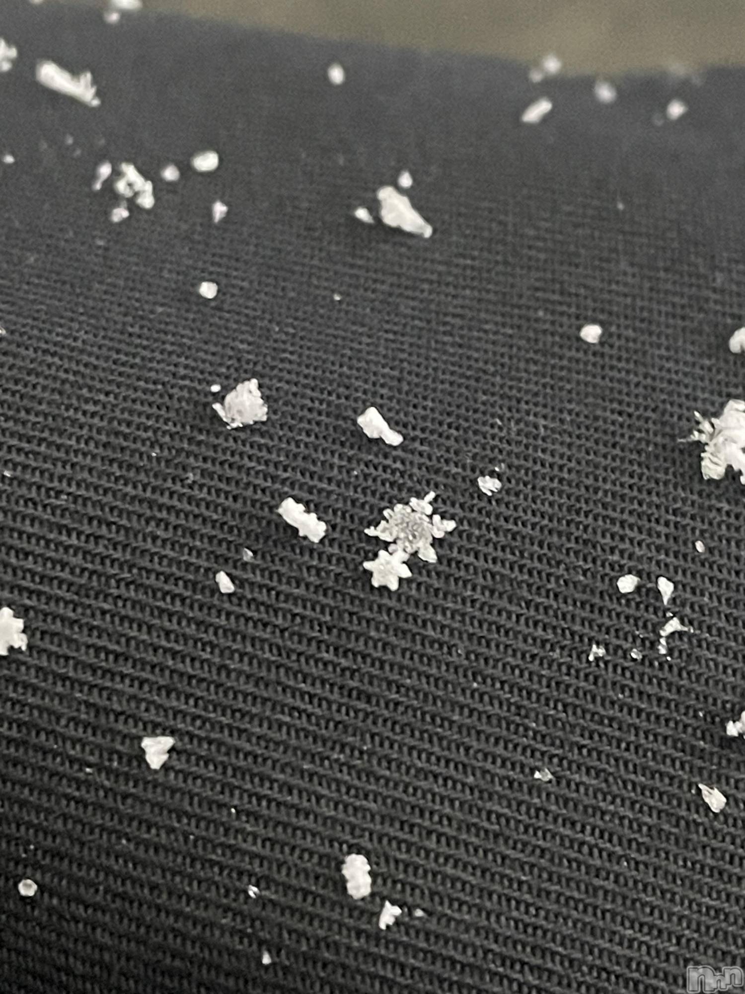 ����������ʥå��������륺�С�ROYAL ONE(���������) ��2026ǯ2��12���̥�֥�������η뾽‼️��