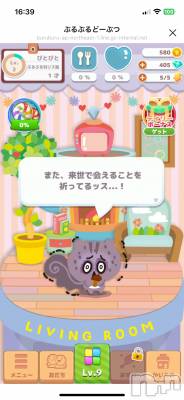 ʥå륺СROYAL ONE() Ȥ(20)1130̥֥֤󤸤