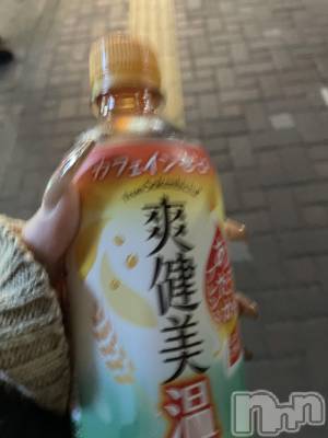 ʥå륺СROYAL ONE() Ȥ(20)39̥֥֤ह