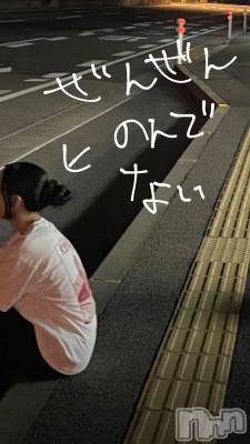 ʥå륺СROYAL ONE() Ȥ(21)913̥֥֤Ȥ
