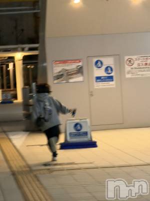 ʥå륺СROYAL ONE() Ȥ(21)1027̥֥֤ޤäƾС