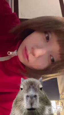 ɡ��