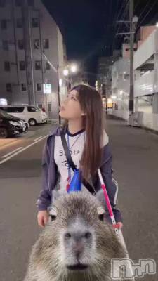 餷
