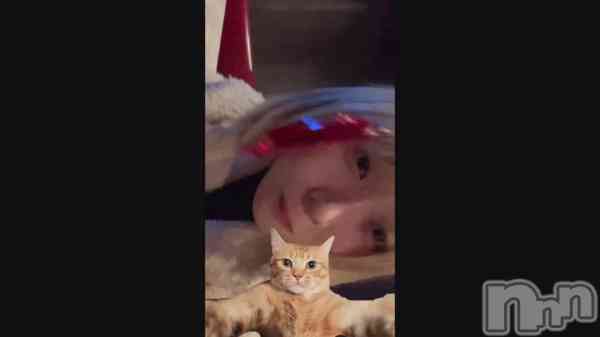 �ֽ��‼️��