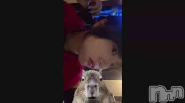 ¡ÖÅâÍȤ²Ìã¤Ã¤¿¡×