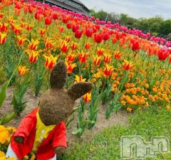 三条デリヘルalphaGOLD(アルファゴールド) みれい(23)の4月17日写メブログ「出勤」