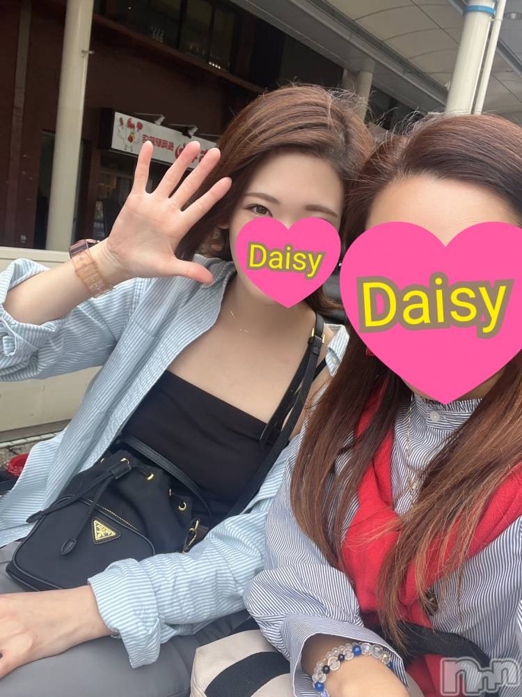 Ĺ襳ѥ˥󥯥Ĺѥ˥-Daisy- ǥ (Ĺȯ 㸩)(ʥѥ˥ǥ) ˨Ϥ109ֵ̥֥פ֤Ρ