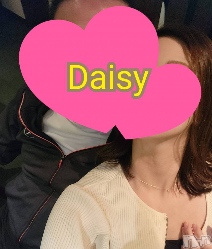 Ĺ襳ѥ˥󥯥Ĺѥ˥-Daisy- ǥ (Ĺȯ 㸩)(ʥѥ˥ǥ) ˨Ϥ1223ֻ̥֥Ϥޤä