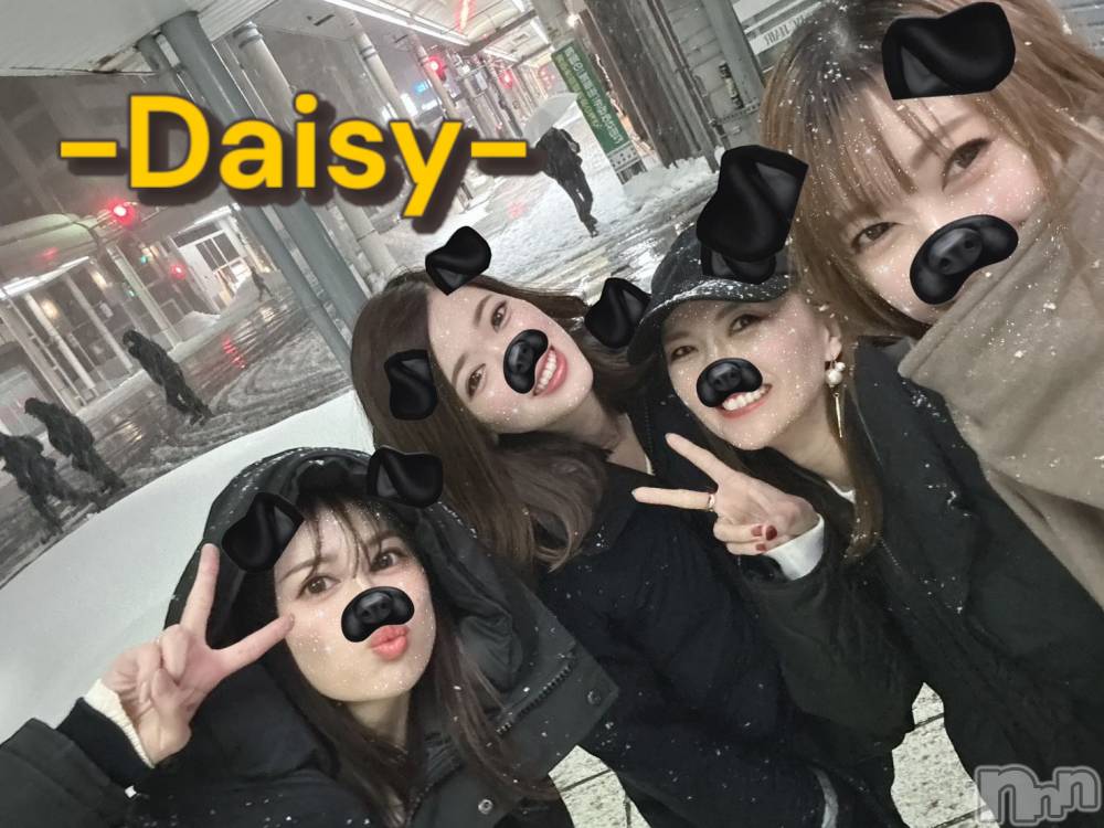 Ĺ襳ѥ˥󥯥Ĺѥ˥-Daisy- ǥ (Ĺȯ 㸩)(ʥѥ˥ǥ) ˨Ϥ225̥֥夬☃️