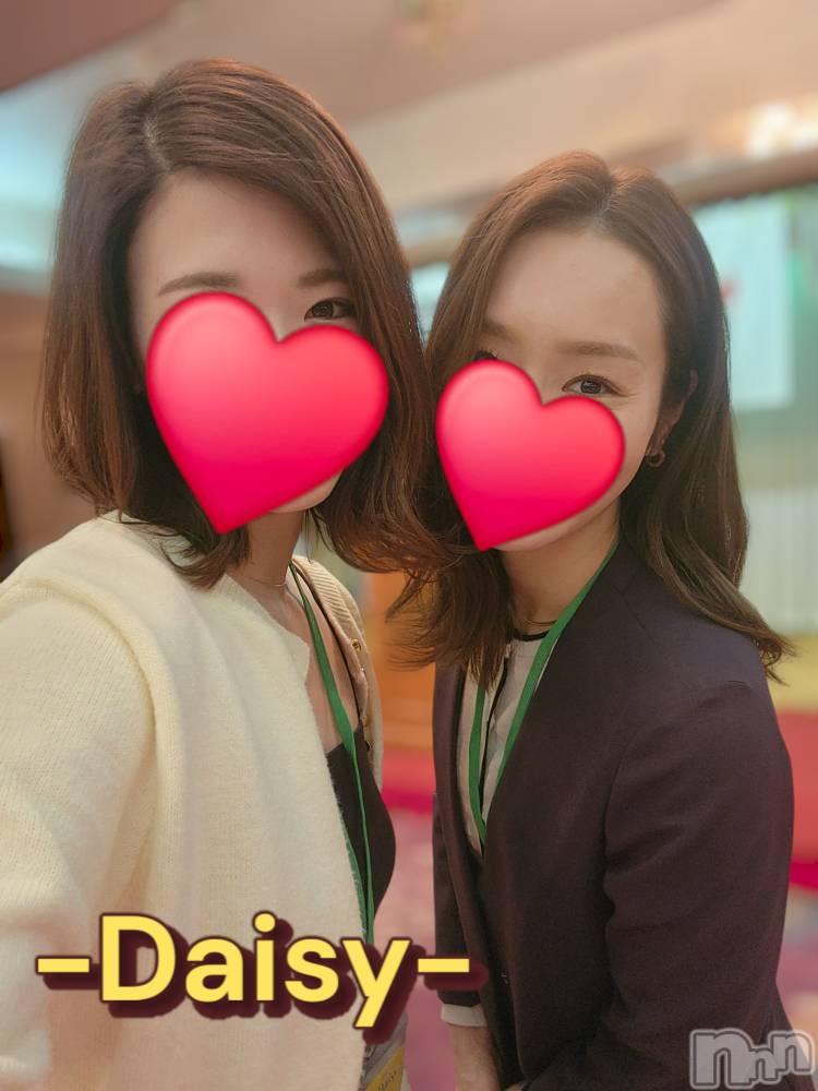Ĺ襳ѥ˥󥯥Ĺѥ˥-Daisy- ǥ (Ĺȯ 㸩)(ʥѥ˥ǥ) ˨Ϥ226ֺ̥֥⺣Ȥơġ