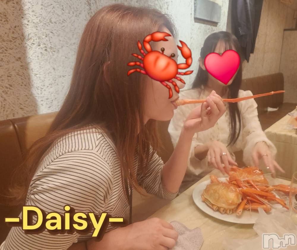 Ĺ襳ѥ˥󥯥Ĺѥ˥-Daisy- ǥ (Ĺȯ 㸩)(ʥѥ˥ǥ) ˨Ϥ614ֺ̥֥ϱ☔