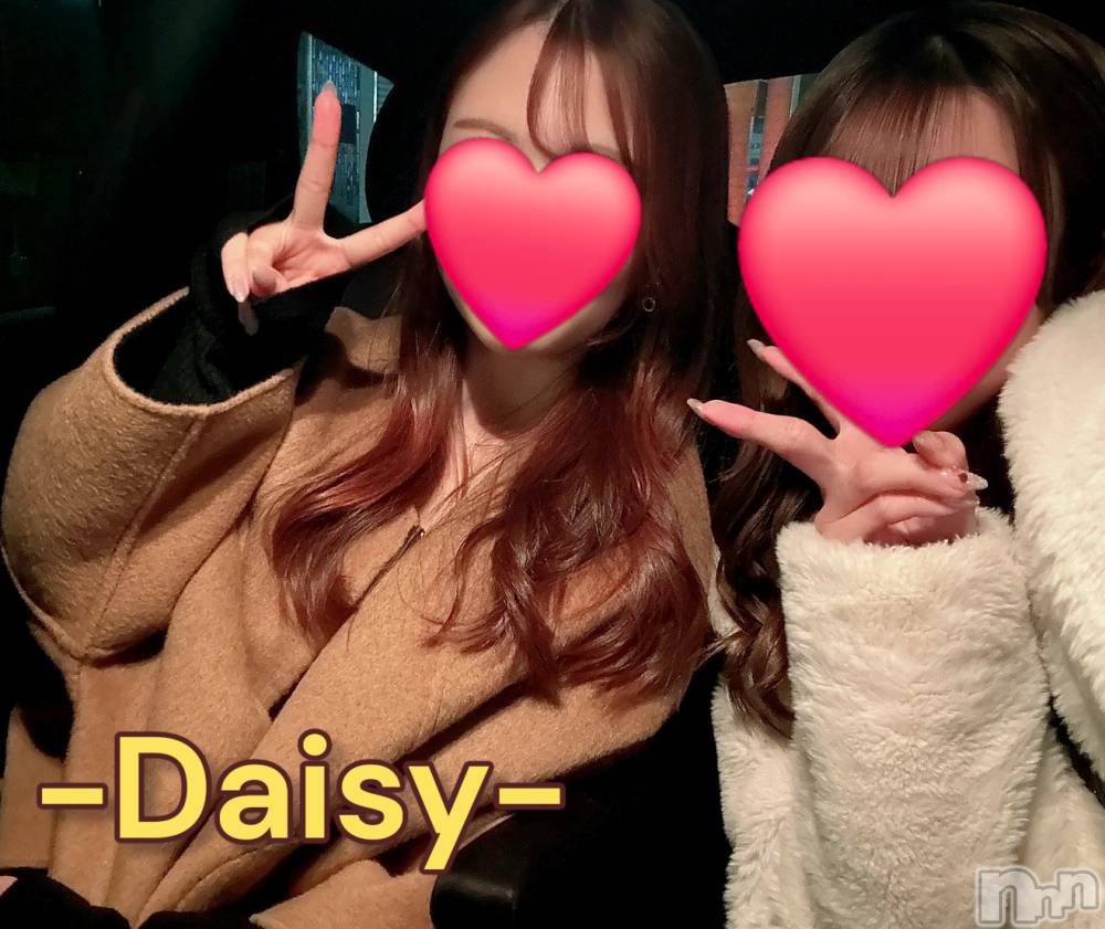 Ĺ�����������襳��ѥ˥��󥯥��Ĺ������ѥ˥���-Daisy- �ǥ����� (Ĺ����ȯ ���㸩����)(�ʥ���������ѥ˥���ǥ�����) ˨�ޥޤ�3��24���̥�֥����֥��������ɤ�🥰💯��