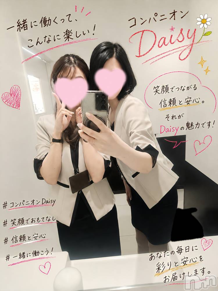 Ĺ�����������襳��ѥ˥��󥯥��Ĺ������ѥ˥���-Daisy- �ǥ����� (Ĺ����ȯ ���㸩����)(�ʥ���������ѥ˥���ǥ�����) ˨�ޥޤ�6��4���̥�֥����ֽ��λ�ɬ��🧏‍��️🔥��
