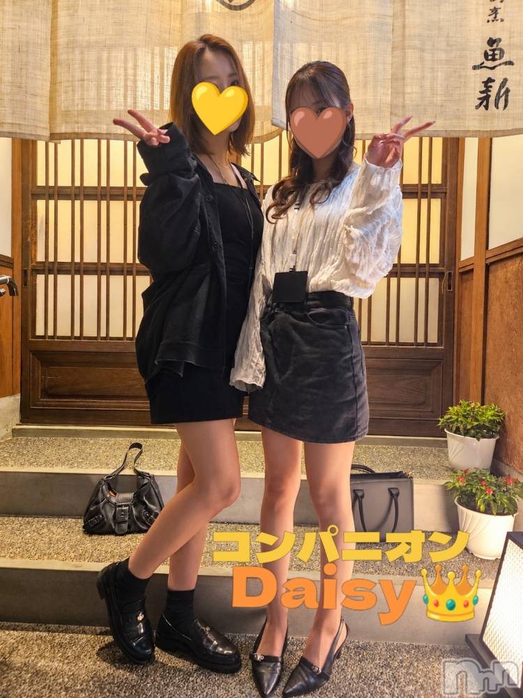Ĺ�����������襳��ѥ˥��󥯥��Ĺ������ѥ˥���-Daisy- �ǥ����� (Ĺ����ȯ ���㸩����)(�ʥ���������ѥ˥���ǥ�����) ˨�ޥޤ�10��7���̥�֥����ֱ�񹥤��Ǥ�������