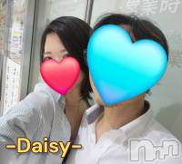 Ĺ襳ѥ˥󥯥Ĺѥ˥-Daisy- ǥ (Ĺȯ 㸩)(ʥѥ˥ǥ) ˨(33)95ְ̥֥Υǡ🍸💕
