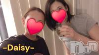 Ĺ襳ѥ˥󥯥Ĺѥ˥-Daisy- ǥ (Ĺȯ 㸩)(ʥѥ˥ǥ) ˨(33)1010̥֥֤Ȥ🌼💕